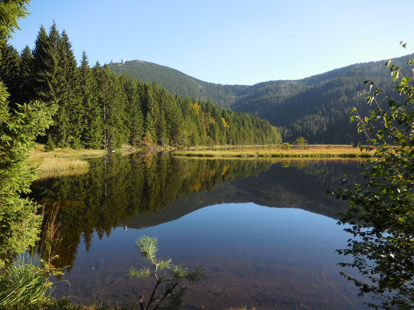 Kleiner Arbersee mit Arber im Hintergrund