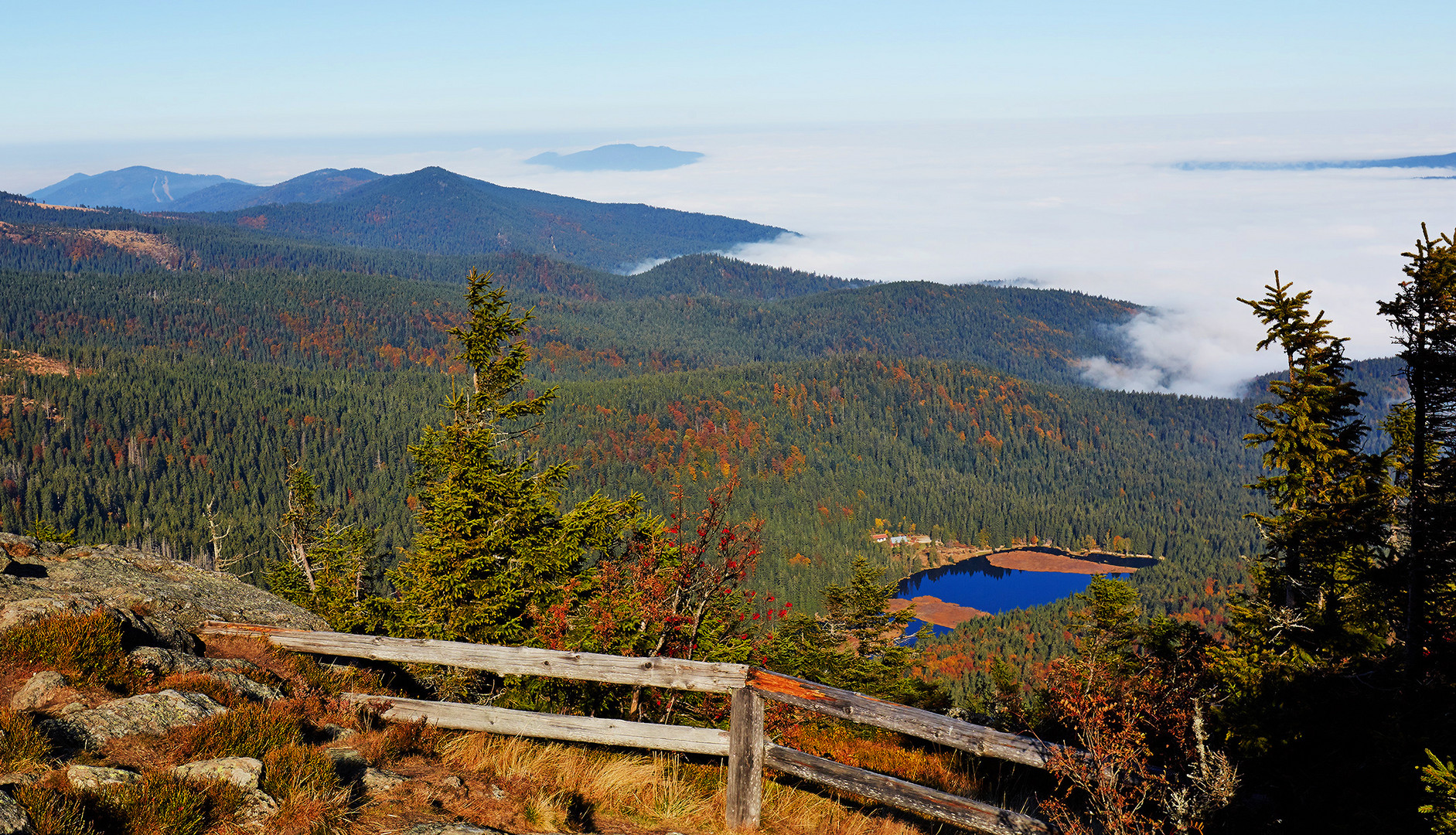 Kleiner Arbersee und Nebel im Lamer Winkel