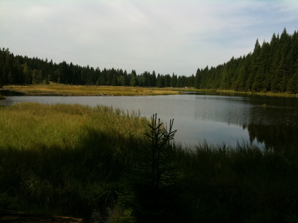 Kleiner Arbersee7