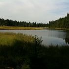 Kleiner Arbersee7