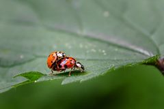 Kleiner Auffahrunfall