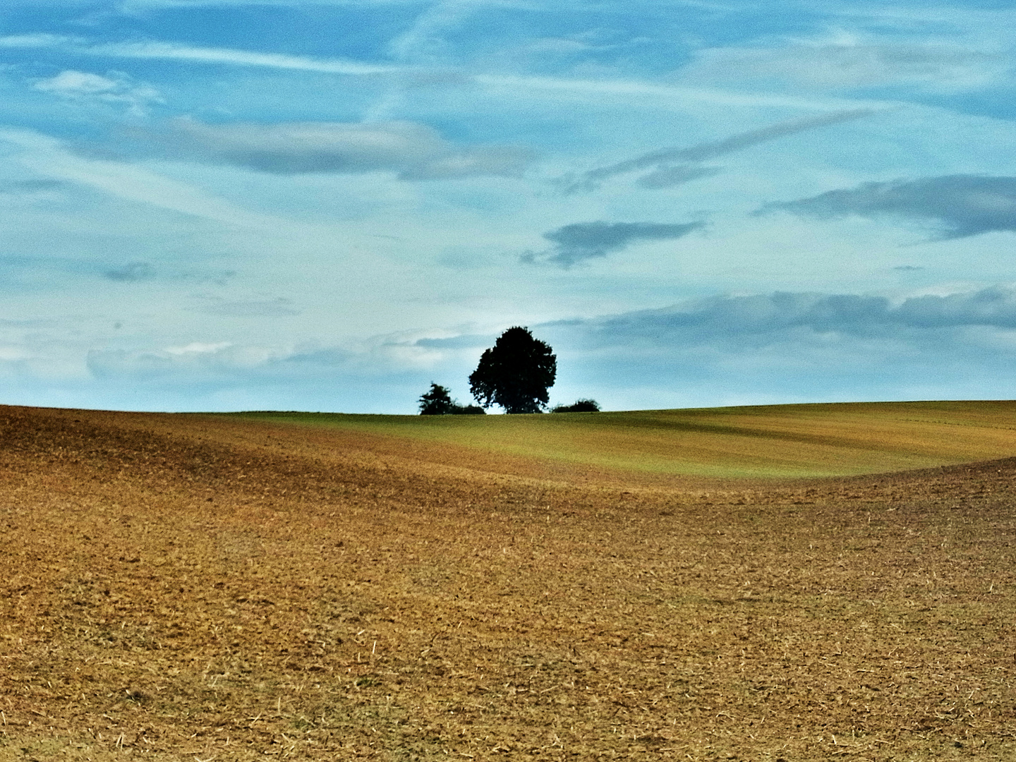 ..kleiner ausblick