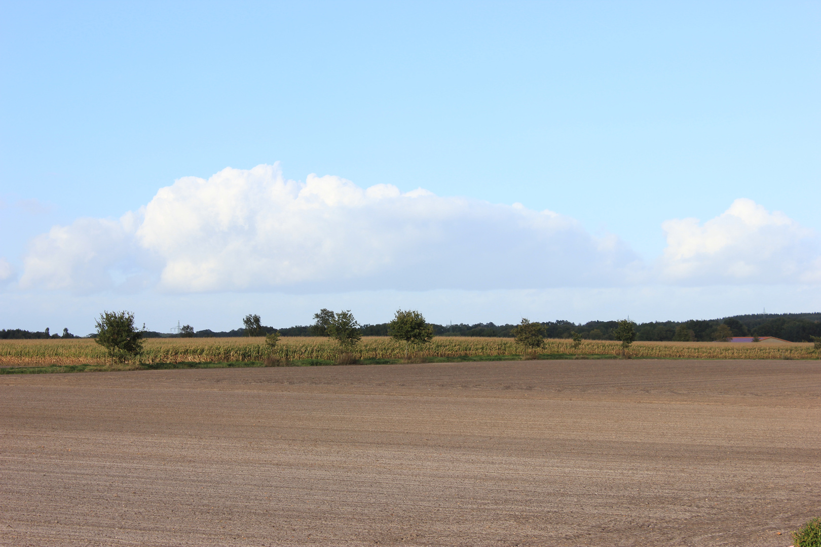 Kleiner Ausblick aus dem Fenster..