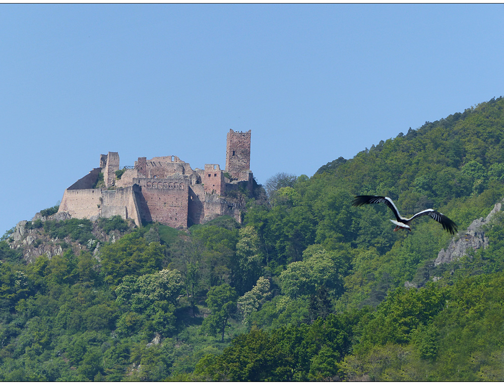 kleiner ausflug..:-)