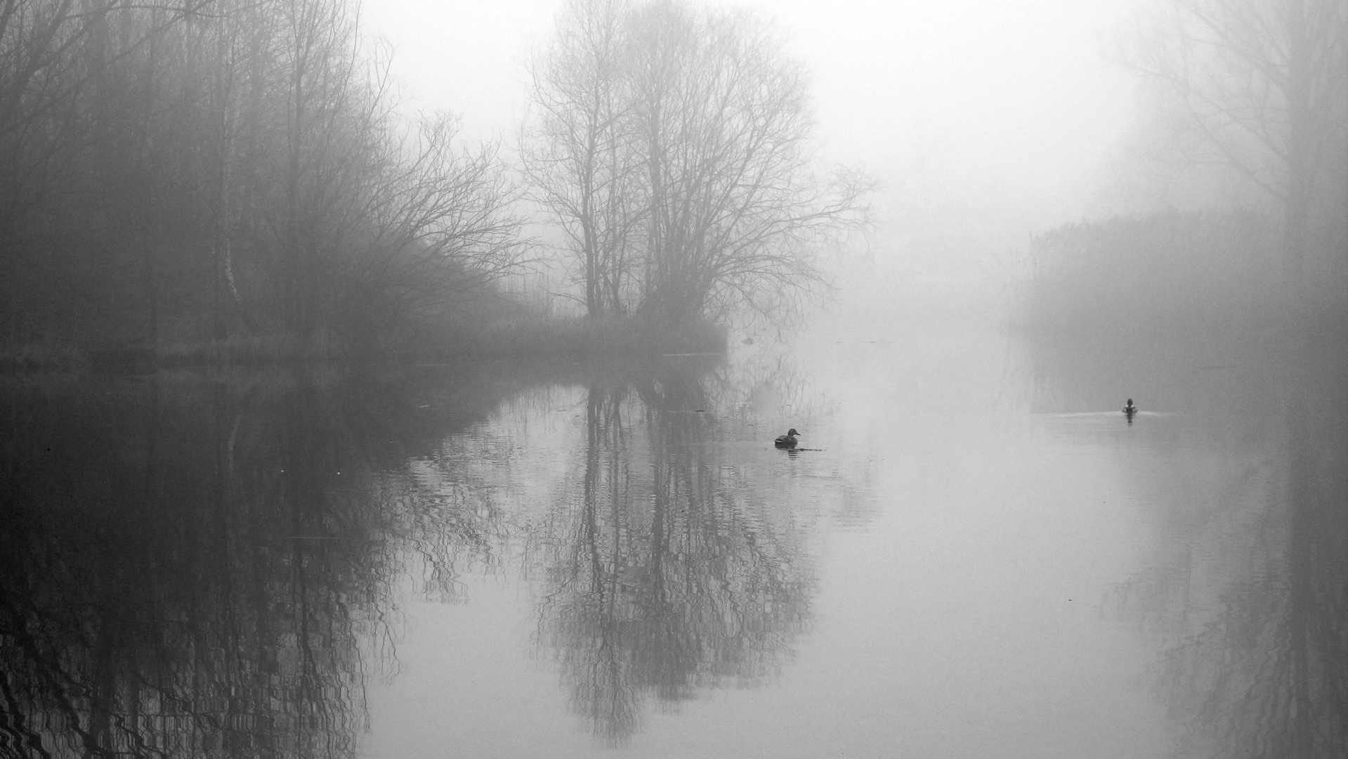 Kleiner Ausflug im Nebel