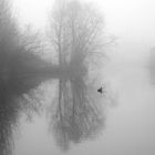 Kleiner Ausflug im Nebel