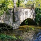 Kleiner Ausflug in den Stadtpark