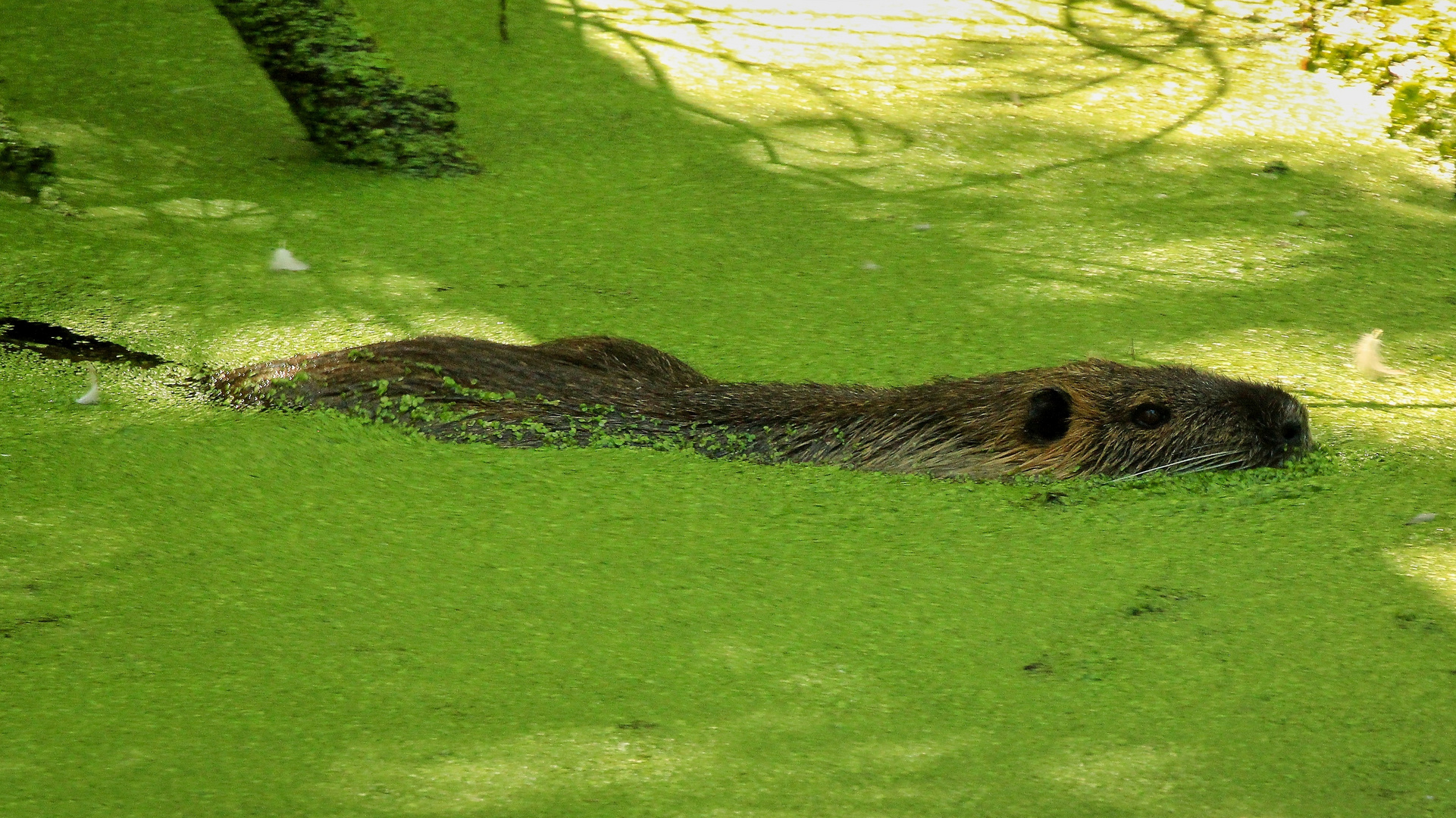 kleiner Ausflug ins Grüne