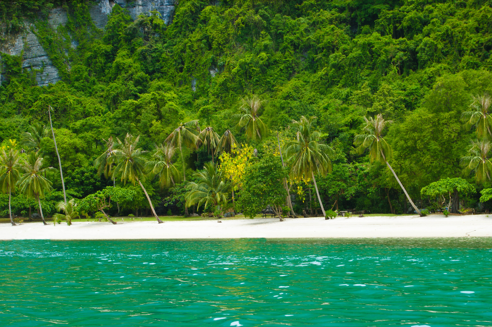 kleiner Ausschnitt aus dem Paradies Thailand (Koh Samui)