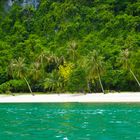 kleiner Ausschnitt aus dem Paradies Thailand (Koh Samui)