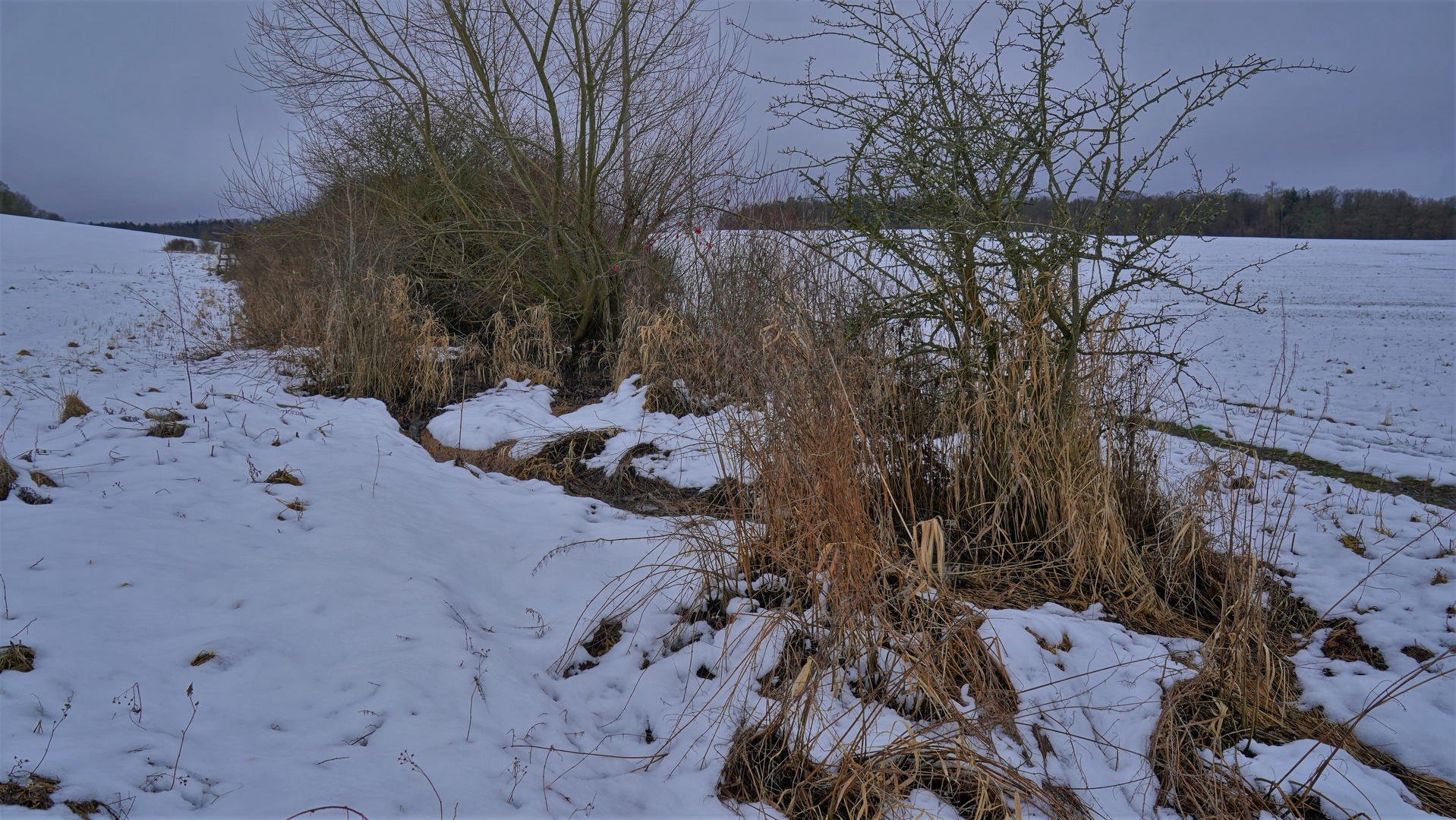 kleiner Bach Foto & Bild landschaft, bach, fluss & see, bachläufe