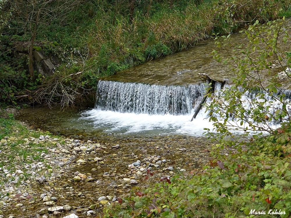 Kleiner Bach 1