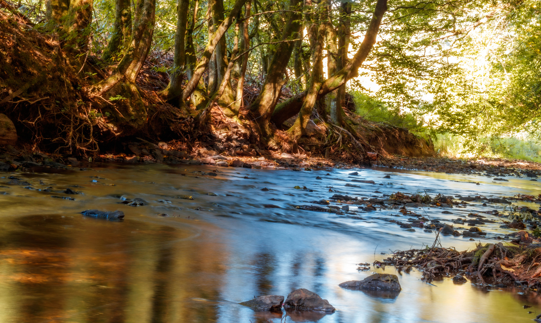 Kleiner Bach Foto & Bild sonne, natur, landschaft Bilder auf