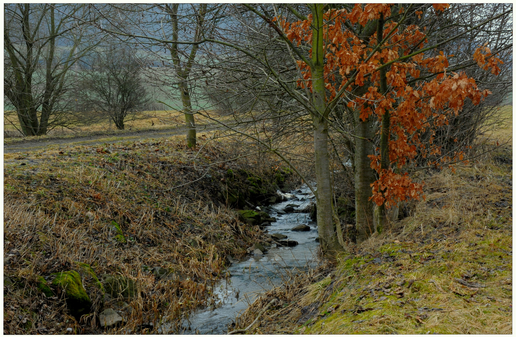 Kleiner Bach ( arroyo pequeño)