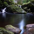 Kleiner Bach ganz groß.