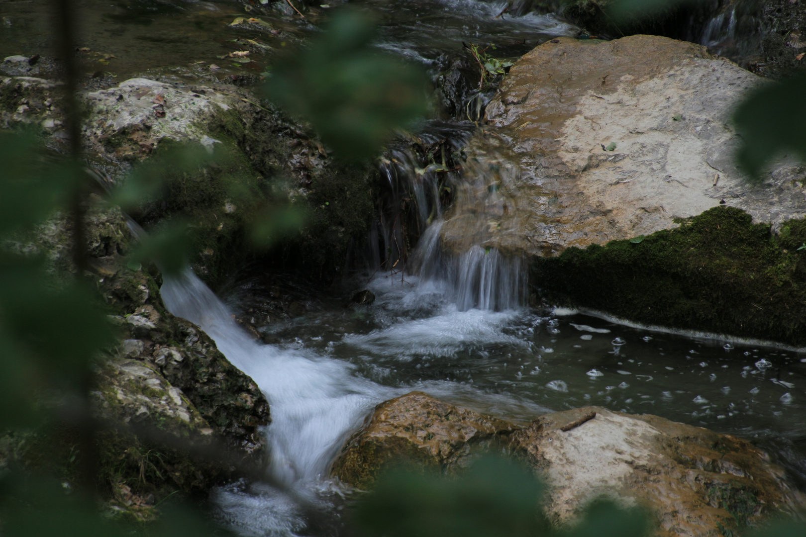 kleiner Bach ganz groß 5