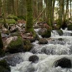 kleiner Bach ganz groß