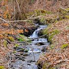 Kleiner Bach im Rothaargebirge