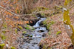 Kleiner Bach im Rothaargebirge