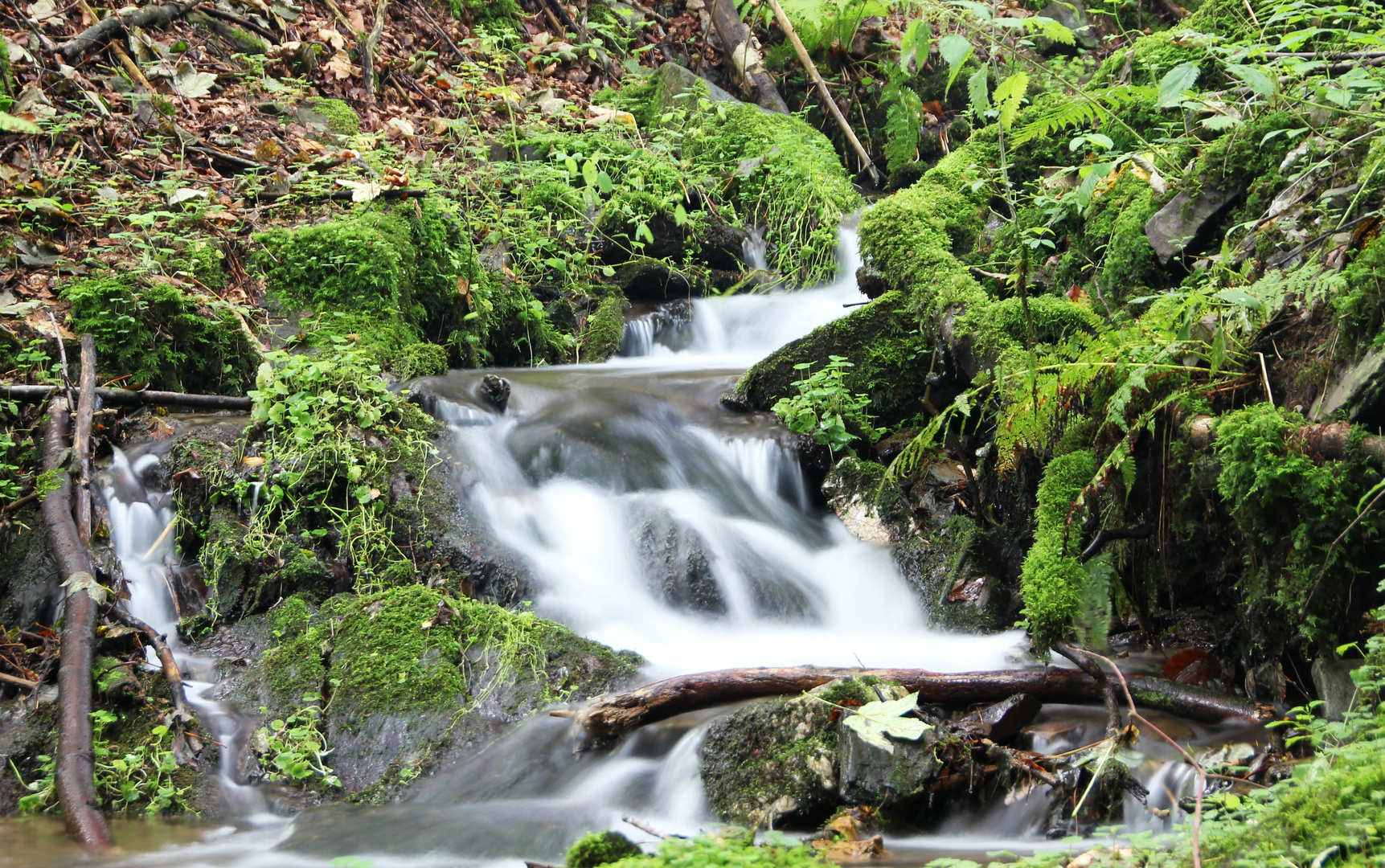 kleiner Bach im Schwarzatal