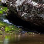 Kleiner Bach im Shenandoah NP