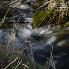 kleiner Bach im Weserbergland