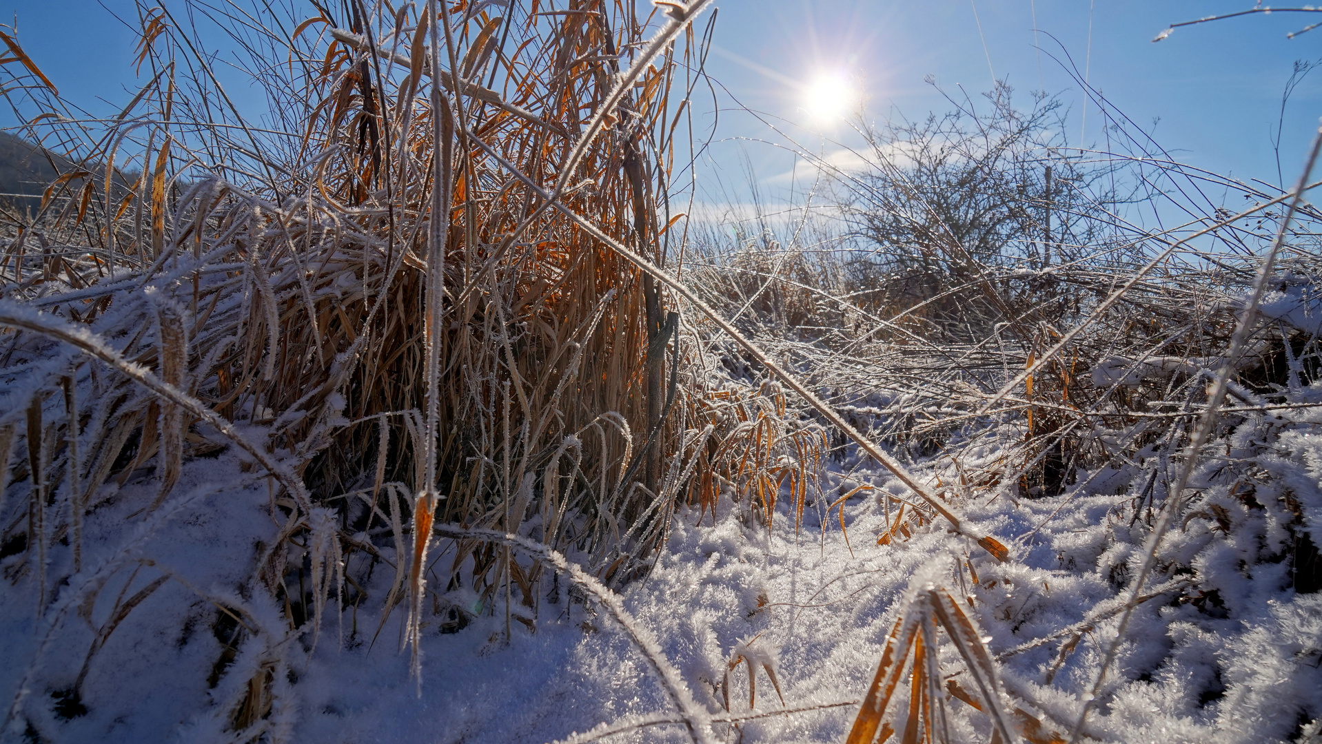 kleiner Bach im Winter, 2 (arroyo en invierno, 2)