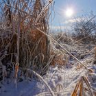 kleiner Bach im Winter, 2 (arroyo en invierno, 2)