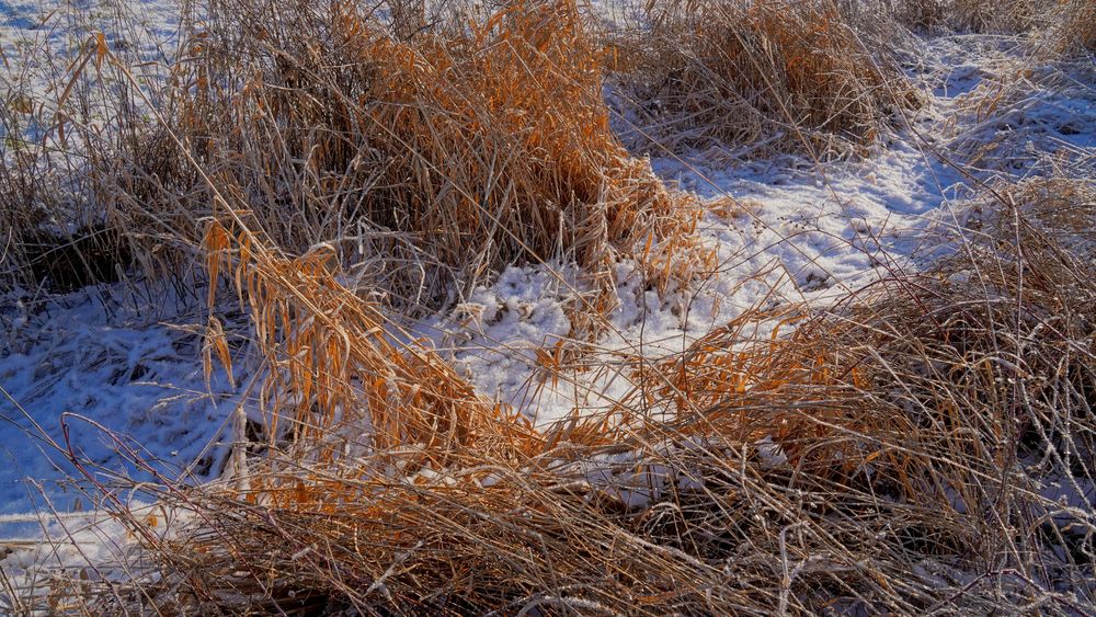 kleiner Bach im Winter (arroyo en invierno)