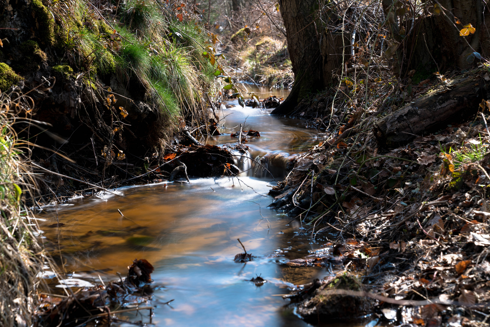 Kleiner Bach im Winter