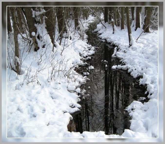 Kleiner Bach im Winter