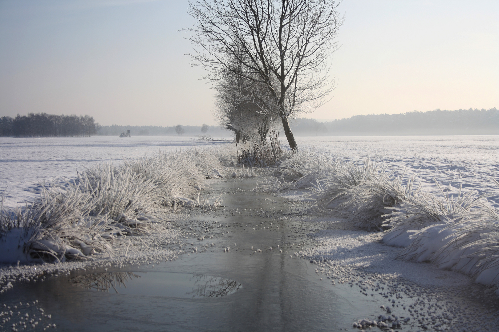 Kleiner Bach im Winterkleid