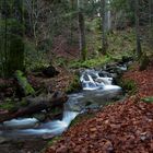 Kleiner Bach in den Vogesen