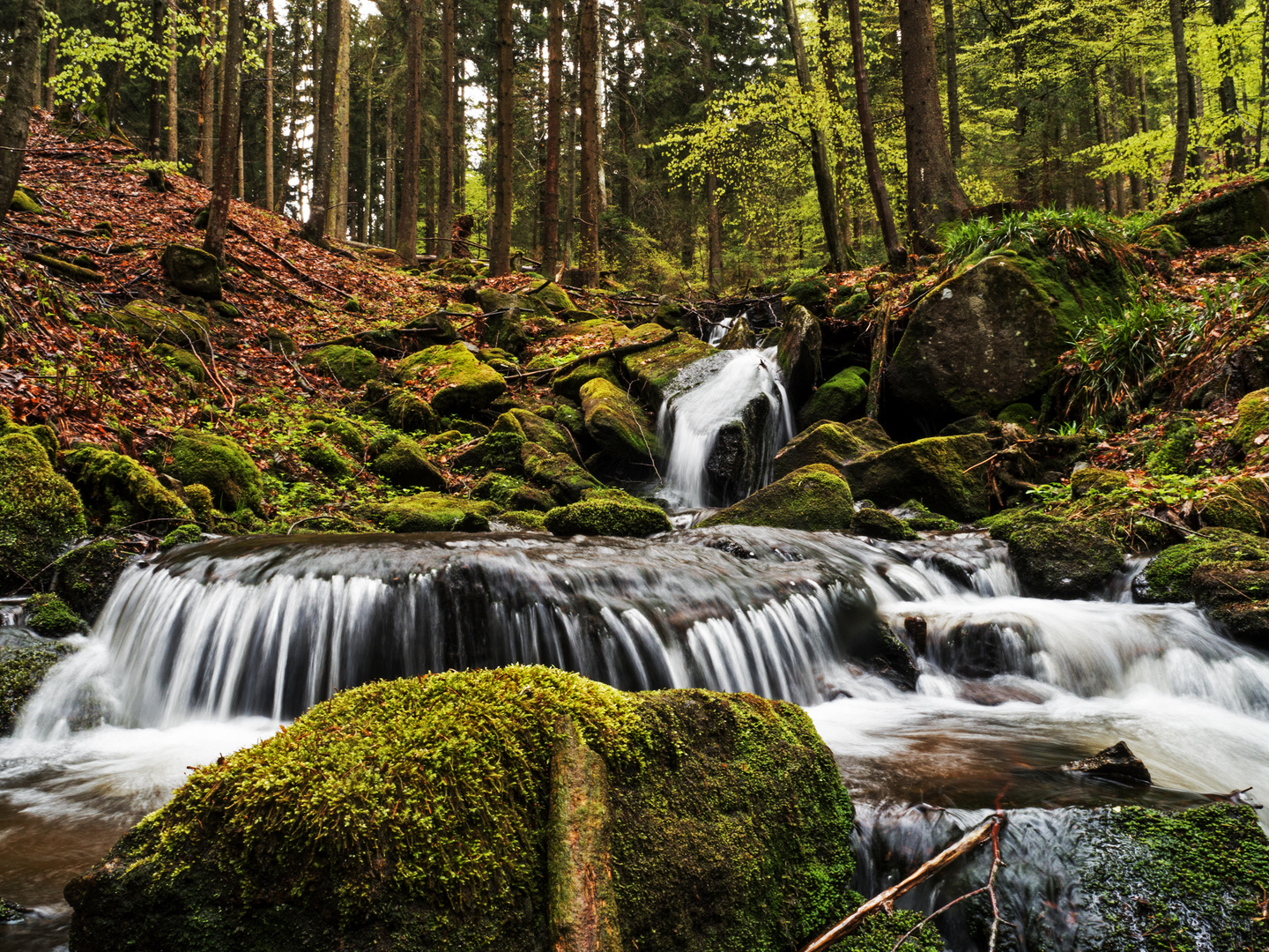 Kleiner Bach in Niederbayern