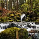 Kleiner Bach in Niederbayern