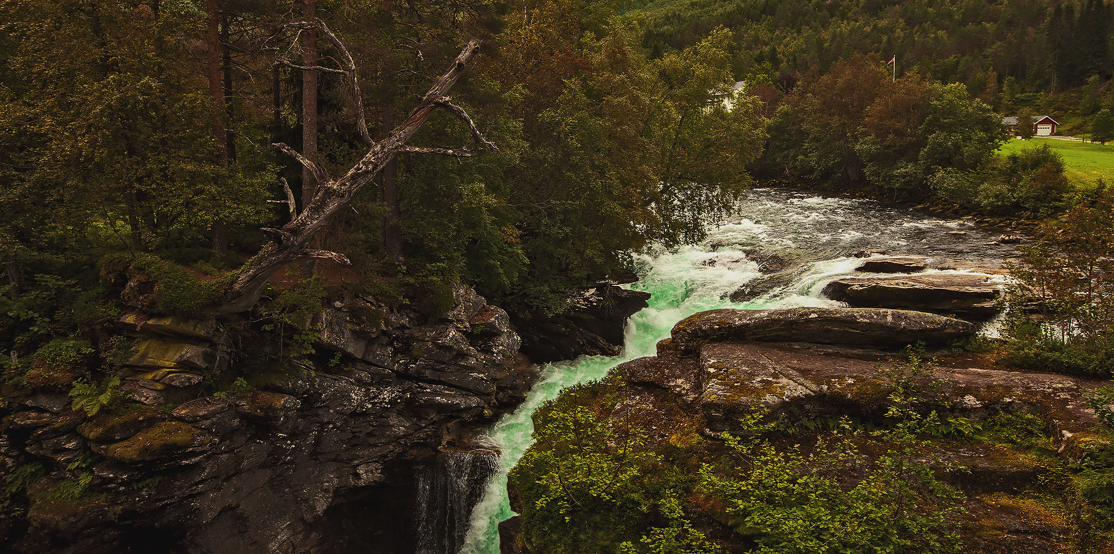 Kleiner Bach in Norwegen