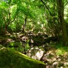 Kleiner Bach in Südfrankreich