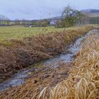 kleiner Bach nach der Schneeschmelze