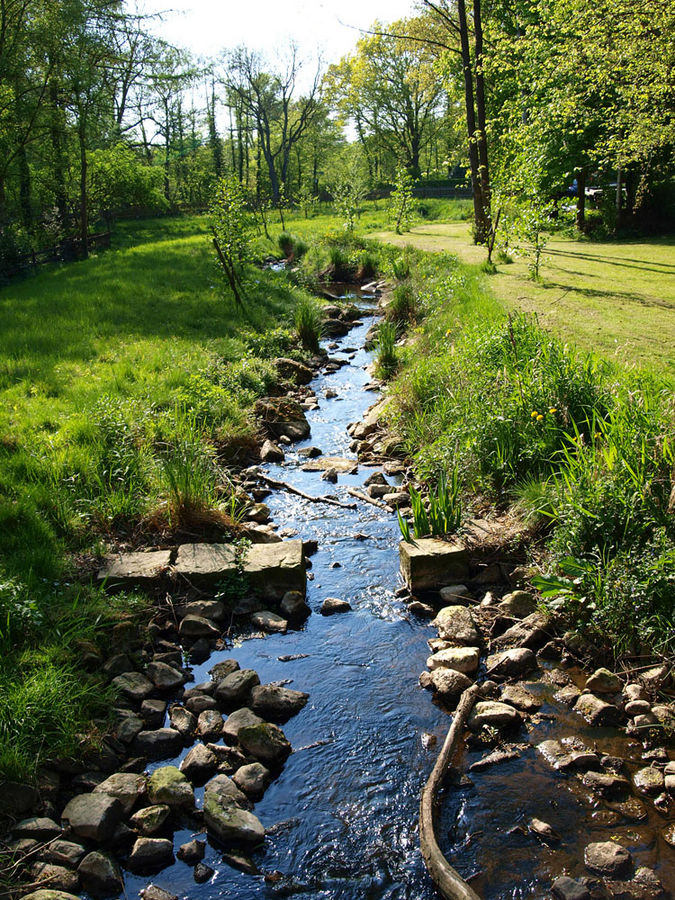 Kleiner Bach Schönebecker Aue Foto & Bild landschaft, bach, fluss