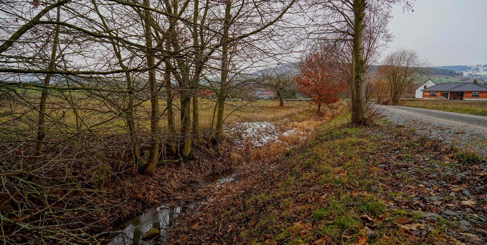 kleiner Bach (un arroyo pequeño)