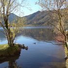 Kleiner Bach Zulauf in den Schliersee!