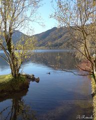 Kleiner Bach Zulauf in den Schliersee!