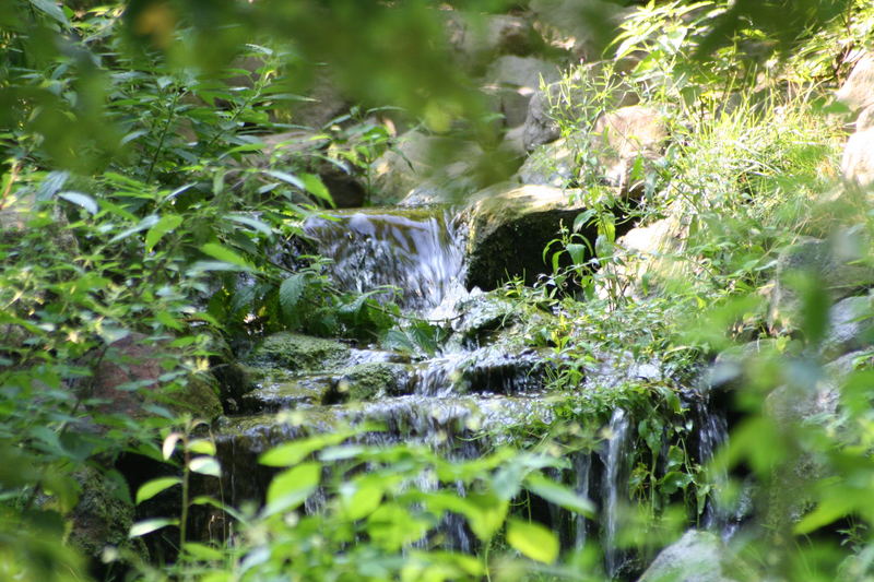 Kleiner Bachablauf