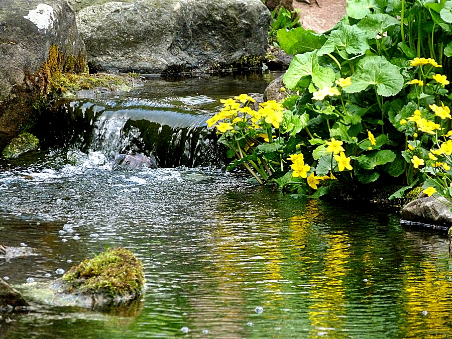 Kleiner Bachlauf . . . Foto & Bild landschaft, garten