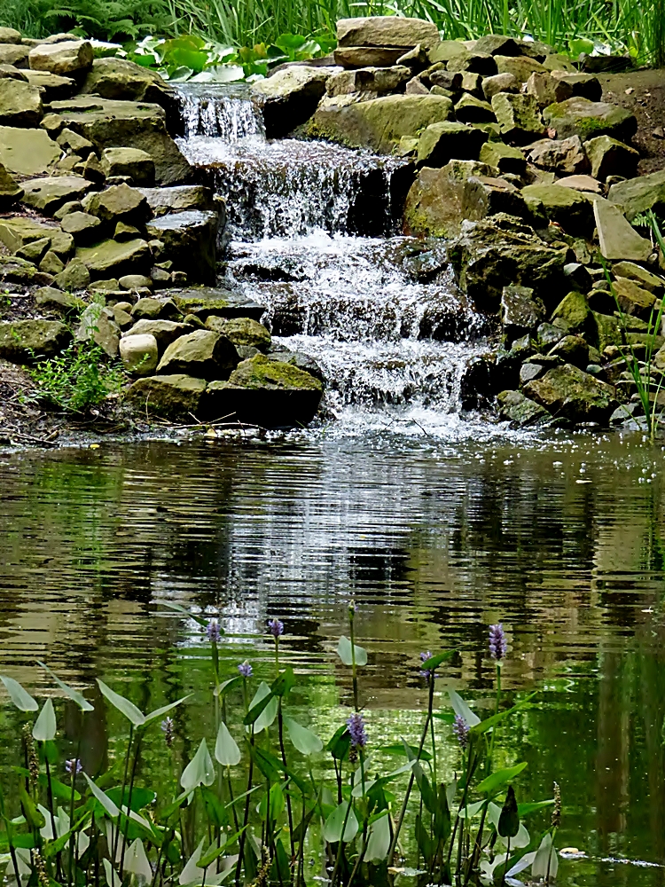 Kleiner Bachlauf . . . . Foto &amp; Bild landschaft, bach
