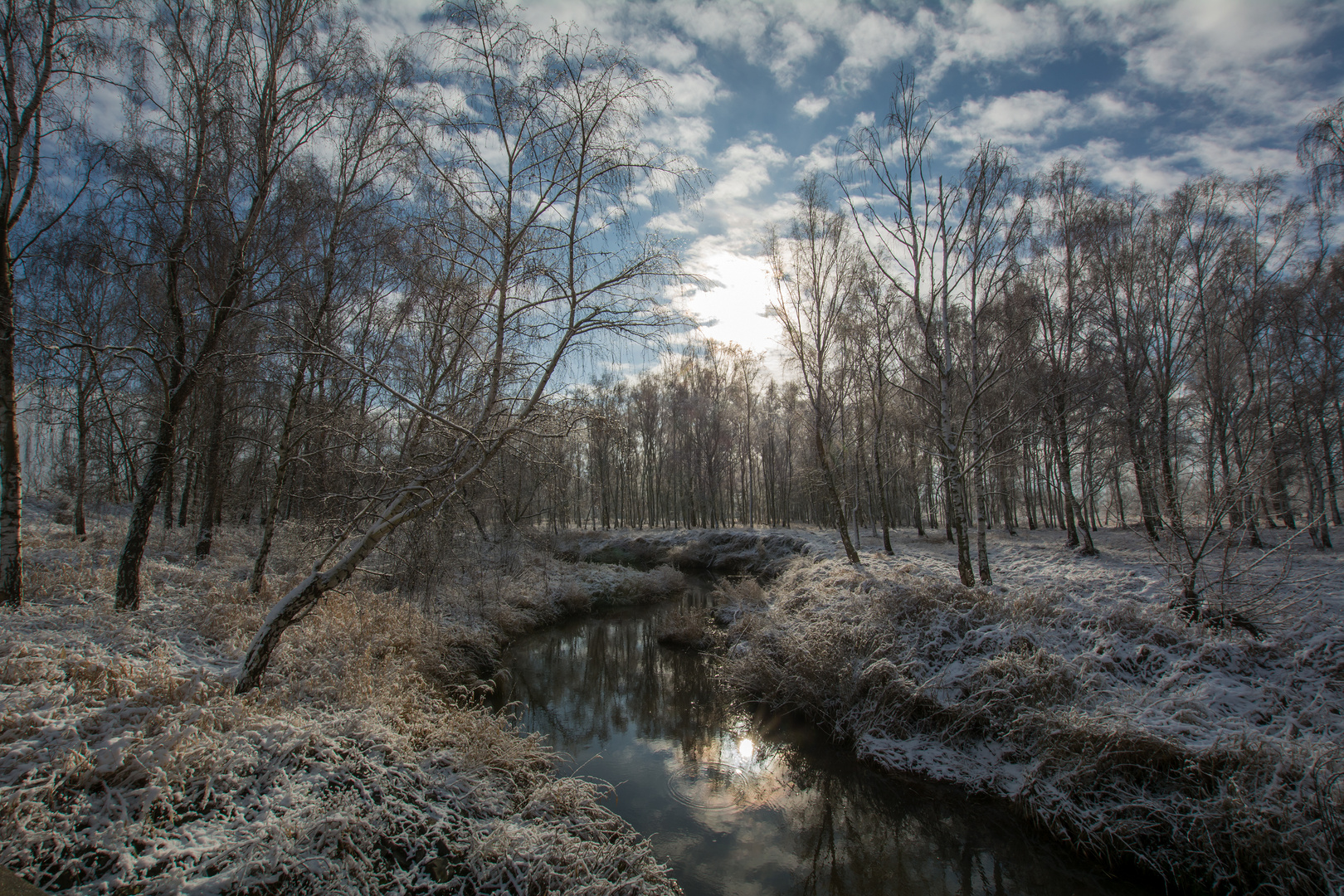 Kleiner Bachlauf