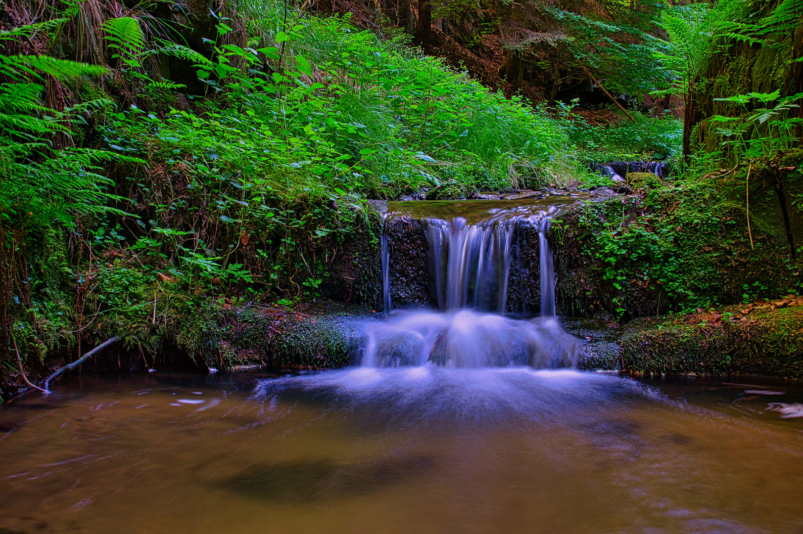 Kleiner Bachlauf im Harz