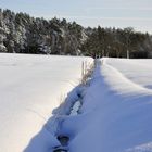 Kleiner Bachlauf im Schnee