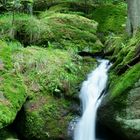 kleiner Bachlauf im Waldnaabtal