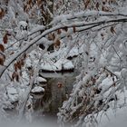 Kleiner Bachlauf im Winter